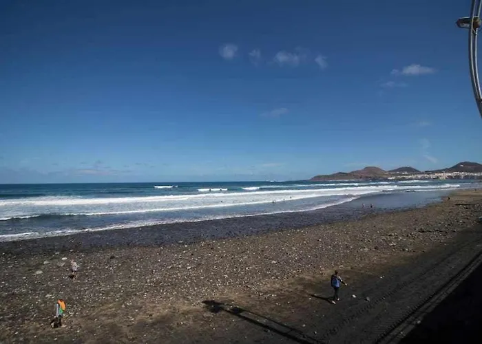 La Cicer Ll Daire Las Palmas de Gran Canaria