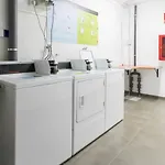 La Cicer Ll Las Palmas de Gran Canaria